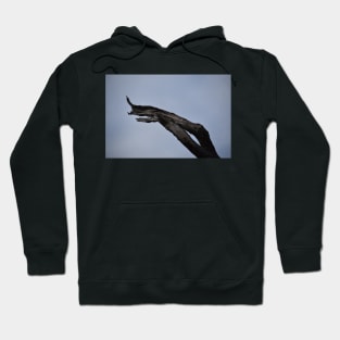 Driftwood 02 Hoodie